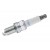 NGK Spark Plugs - DCP-R8E